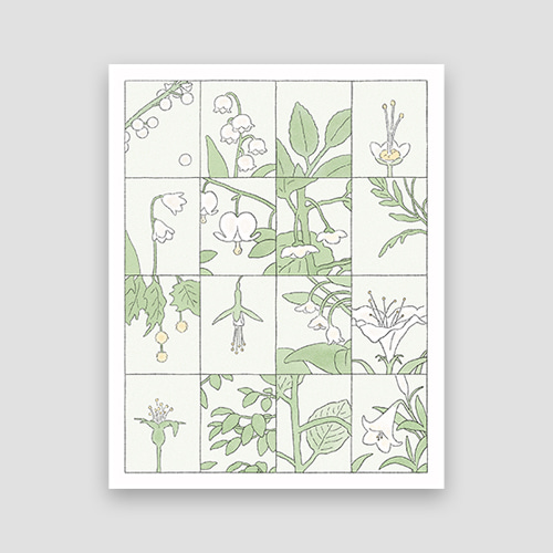 [우이] 식물 도감 포스터